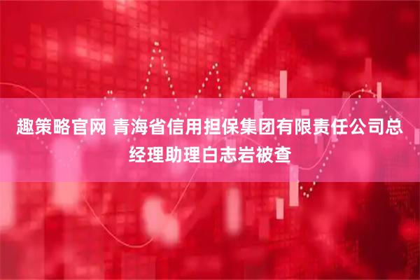 趣策略官网 青海省信用担保集团有限责任公司总经理助理白志岩被查
